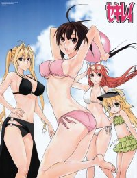 BUY NEW sekirei - 192436 Premium Anime Print Poster